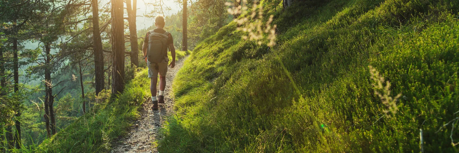 Wanderer in einer Waldlandschaft